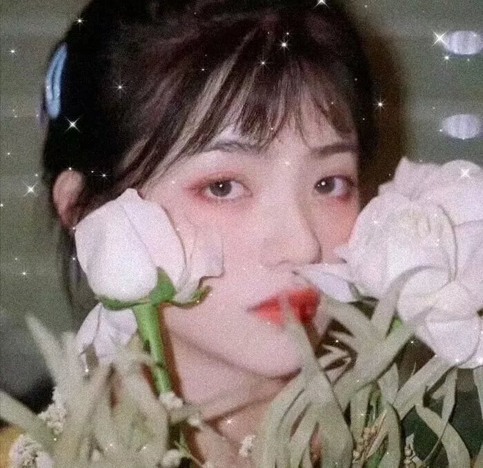 傻瓜与睡美人